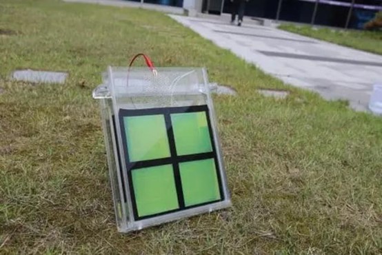 圖片1.jpg 圖片1.jpg